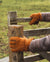 Mens Nordvek sheepskin chestnut gloves opening wooden gate in field 306-100