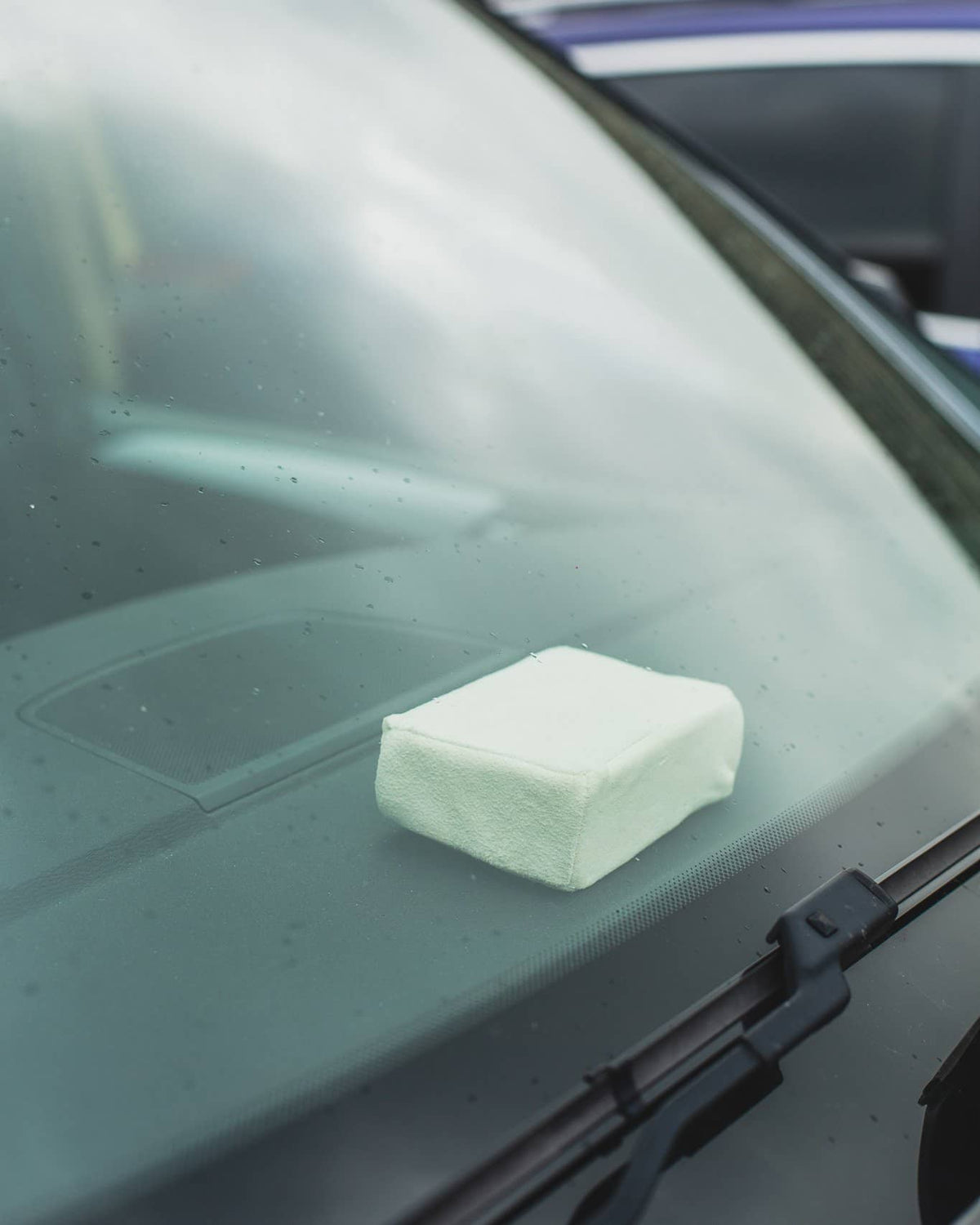 Nordvek chamois pad in car window