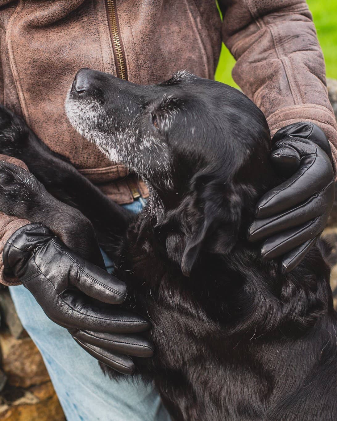 Nordvek Mens leather sheepskin black gloves petting dog 302-100