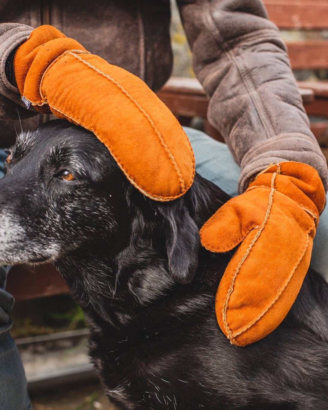 Nordvek mens sheepskin chestnut mittens petting black dog with gloves 312-100