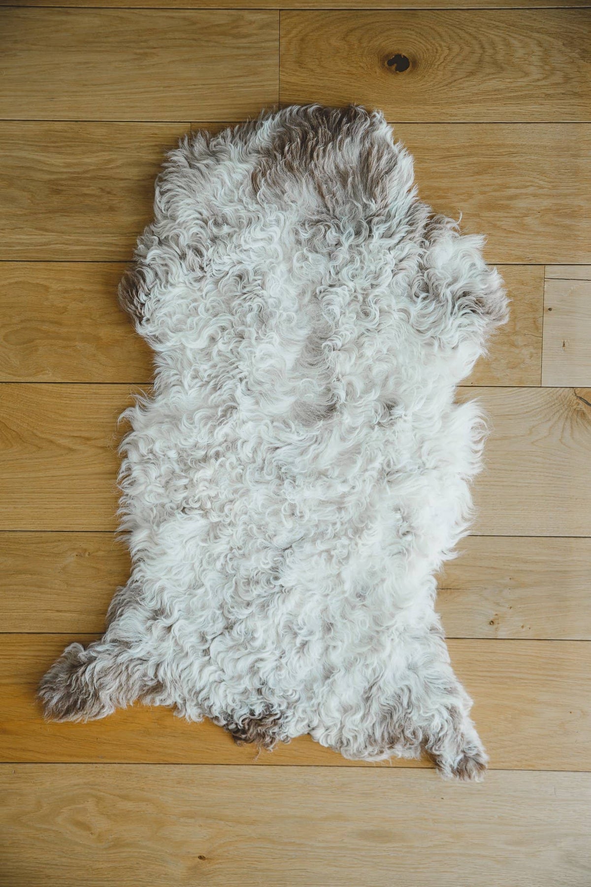 Nordvek Spanish sheepskin rug 616-100 design 1