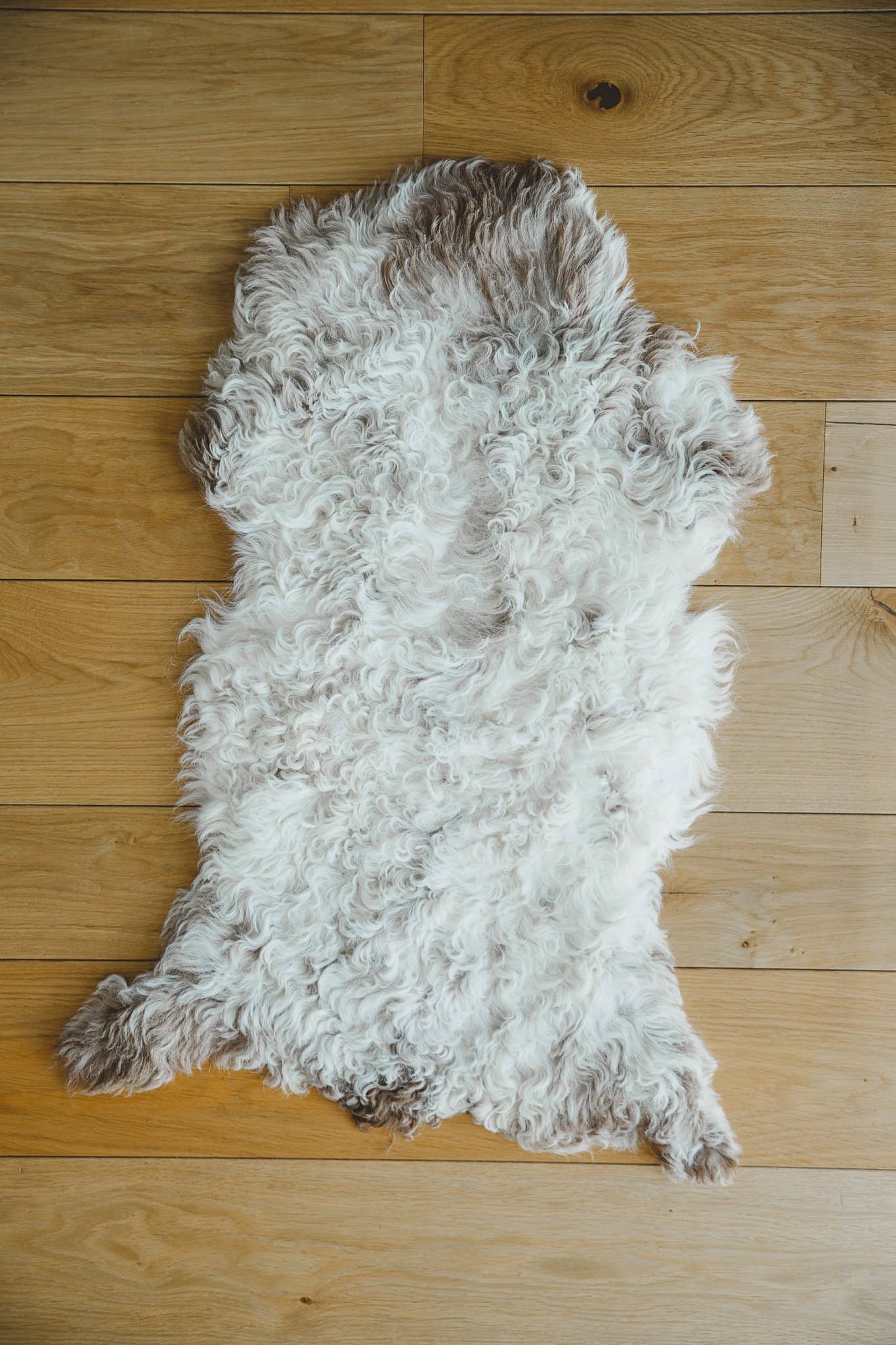 Nordvek Spanish sheepskin rug 616-100 design 1 in front of fire