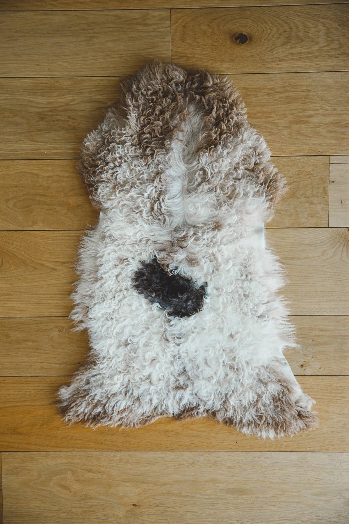 Nordvek Spanish sheepskin rug 616-100 design 2