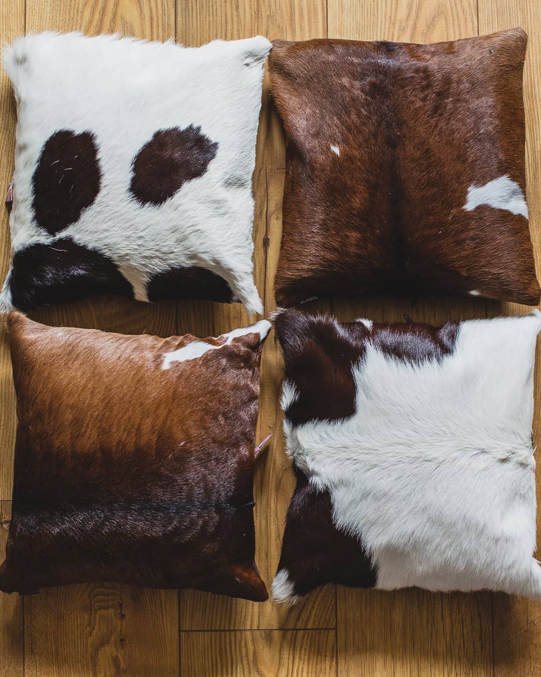 Nordvek cowhide cushion group shot on window sill 9007-100