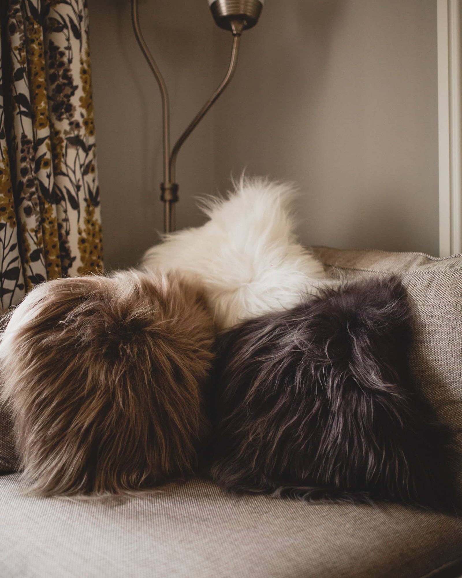 Nordvek Icelandic Sheepskin Cushion 9010-100 Group of 3 on sofa