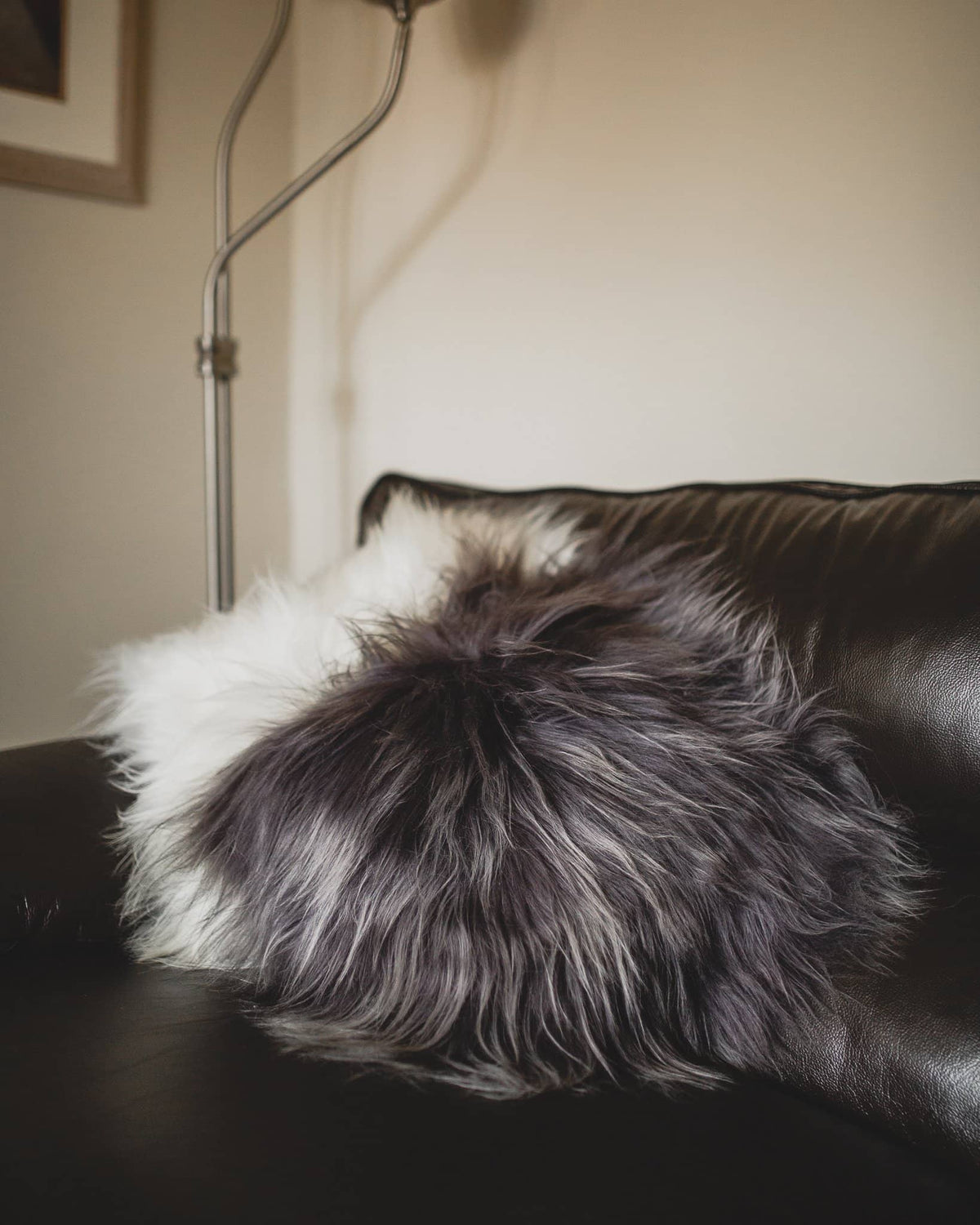 Nordvek Icelandic Sheepskin Cushion 9010-100 Group of 2 on sofa