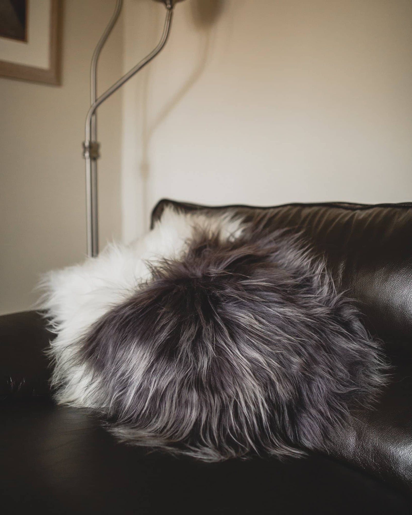 Nordvek Icelandic Sheepskin Cushion 9010-100 Group of 3 on sofa