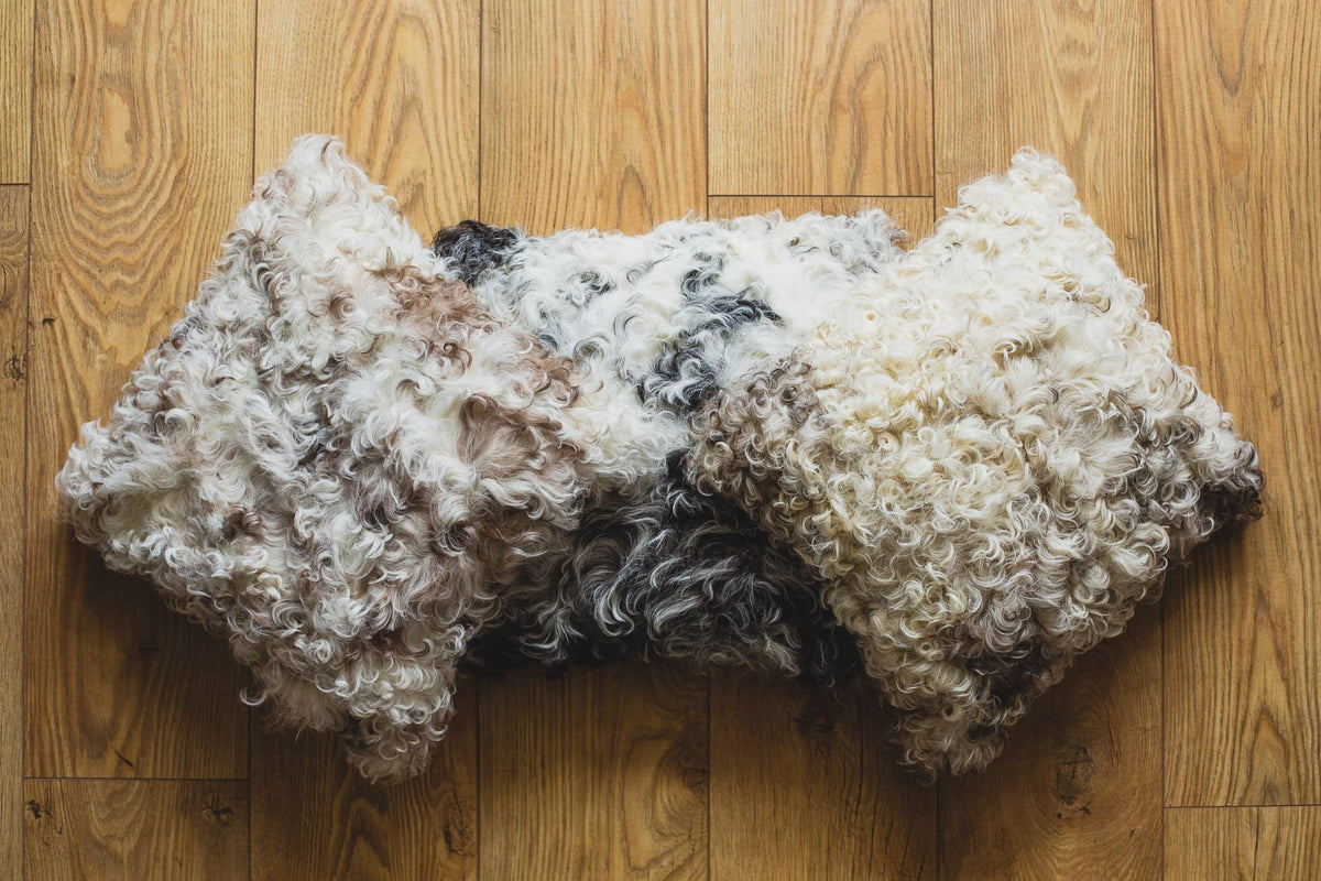 Nordvek Spanish Sheepskin Cushion 9016-100 Group On Wooden Floor